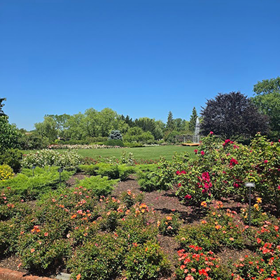 Gardens